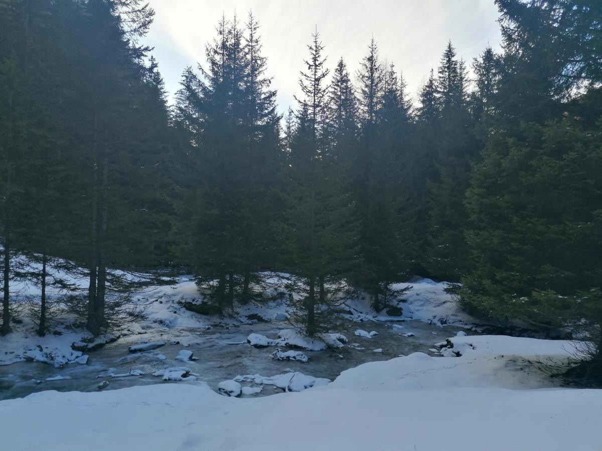 Ferienwohnungen Unterangerhof Quinzo Екстер'єр фото